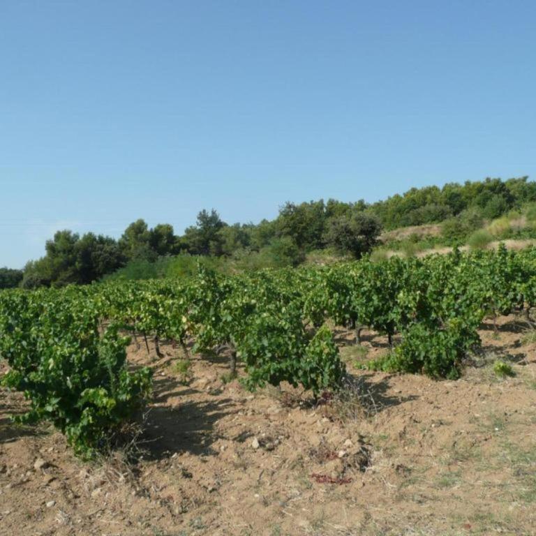 Holiday Home in L'Isle-sur-la-Sorgue with Pool - Casa Vacanze con 4 Camere da Letto - 34