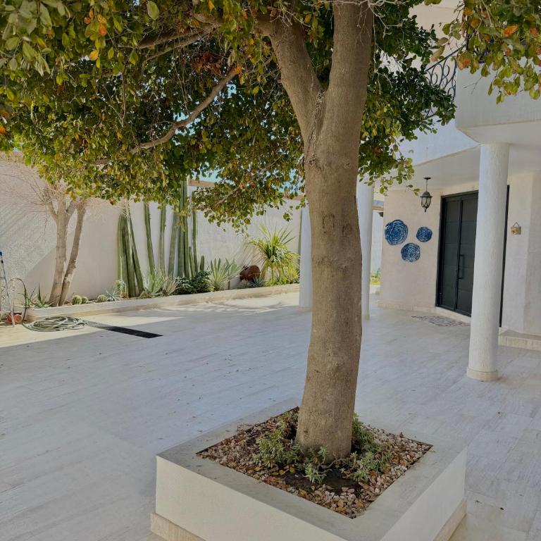 Luxury Casa Amaia with Private Pool - Casa de 7 dormitorios - 43