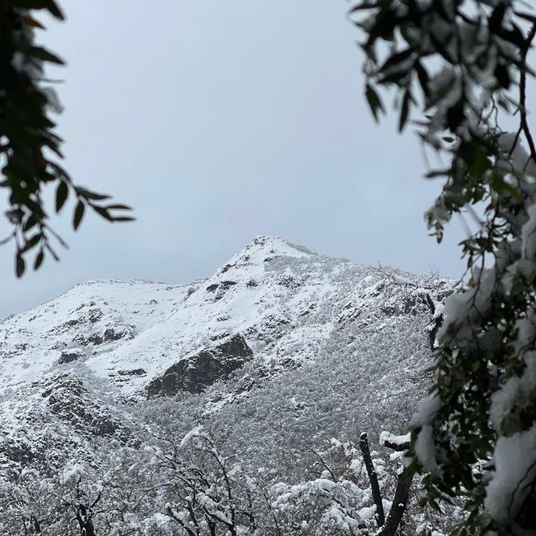 Suite de Montaña - Apartamento de 1 dormitorio - 9