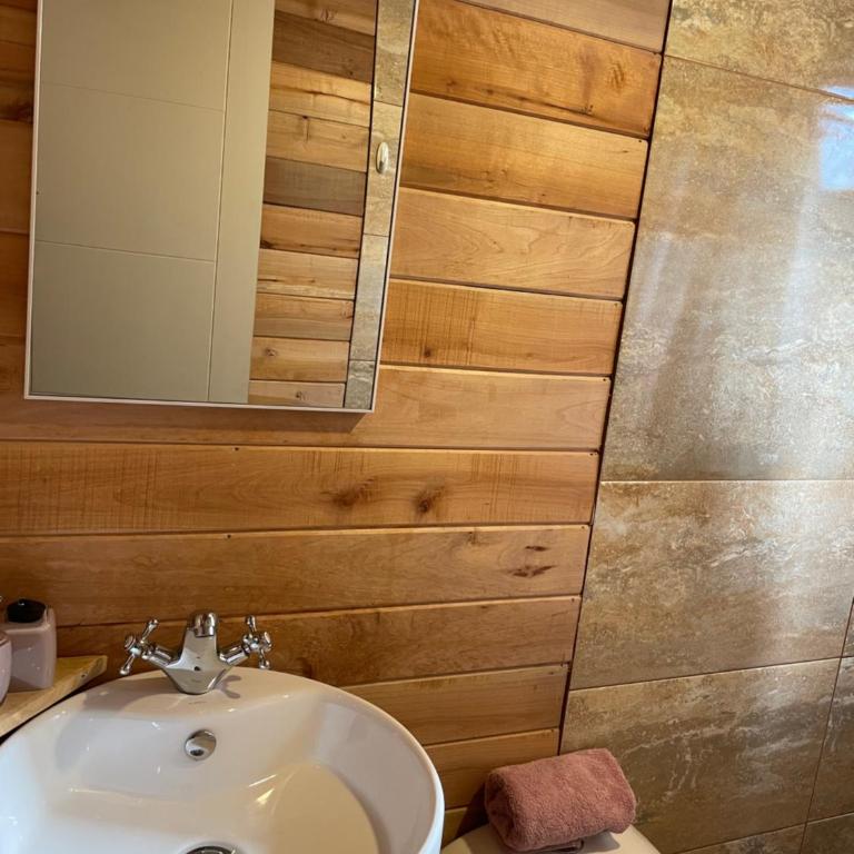 Suite de Montaña - Apartamento de 1 dormitorio - 25