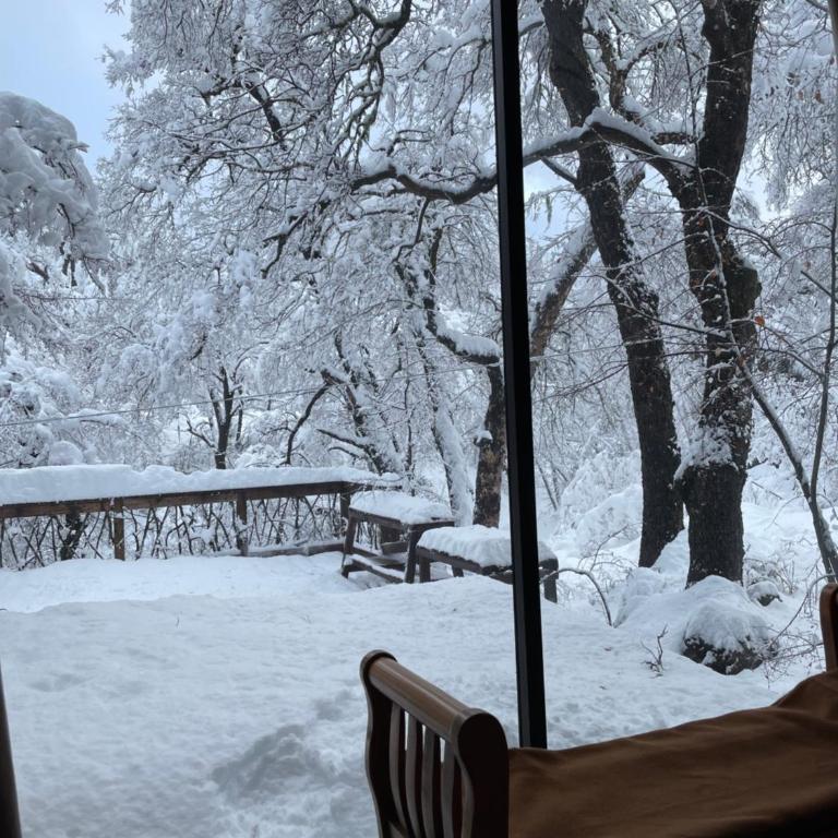 Suite de Montaña - Apartamento de 1 dormitorio - 39