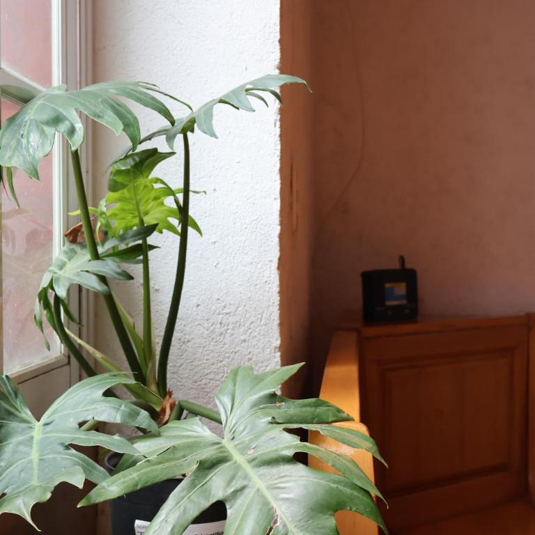 Casa SanRafa - Deluxe Studio - 18