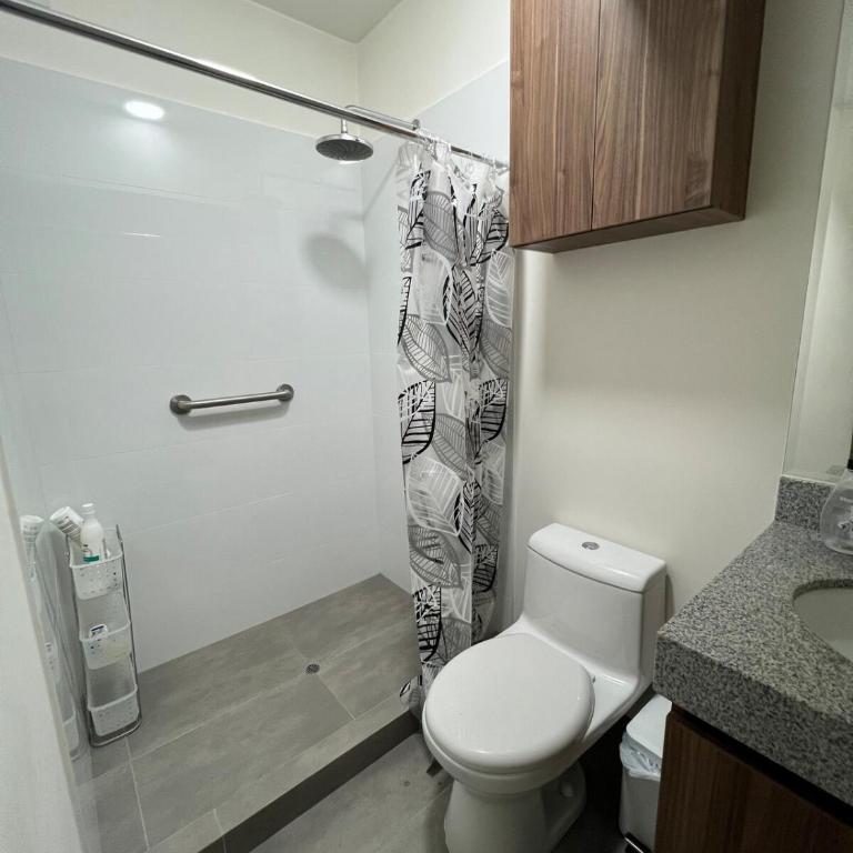 Apartment in San Isidro - One-Bedroom Apartment - 7