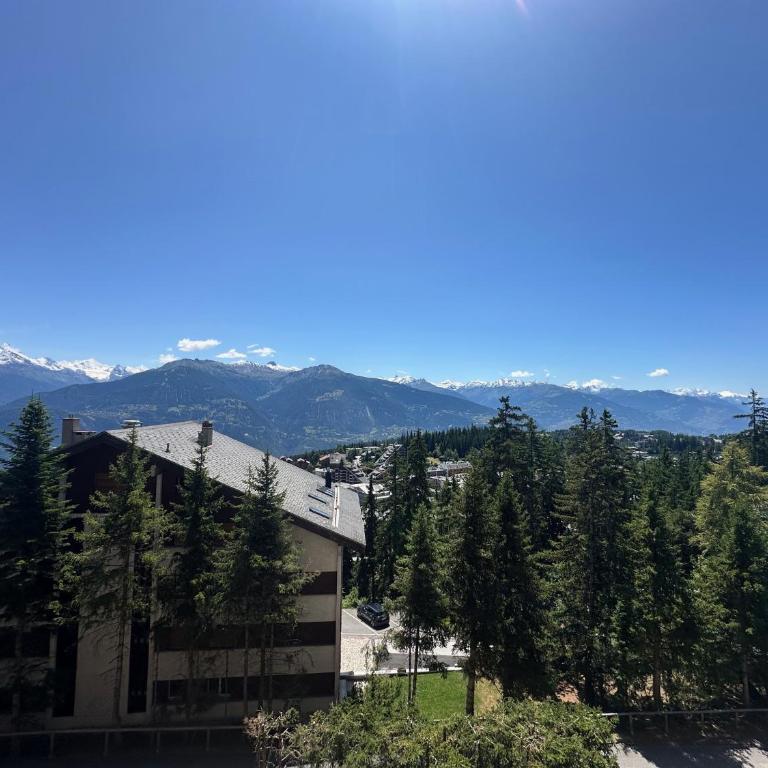 Alpine Evasion - Crans Montana - Swiss Alps - Appartement avec Vue sur la Montagne - 15