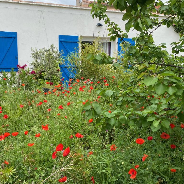 Maisonnette de Jardin - Apartamento de 1 dormitorio - 29