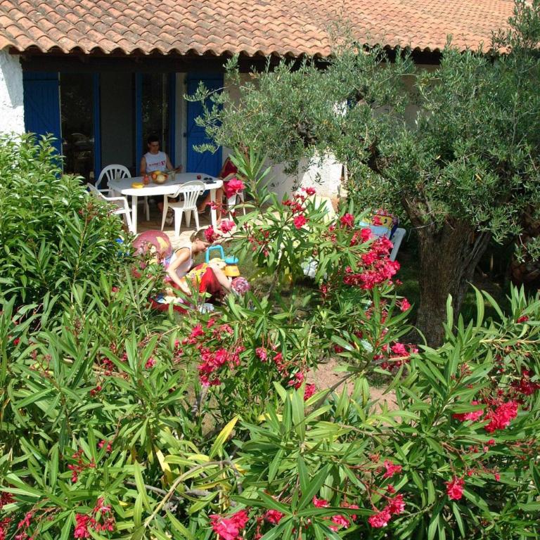 Residence La Palmeraie - Gîte 2 Chambres - 4