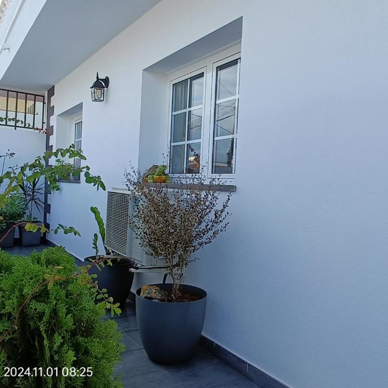 Cotufa Garden - Apartamento de 1 dormitorio - 11