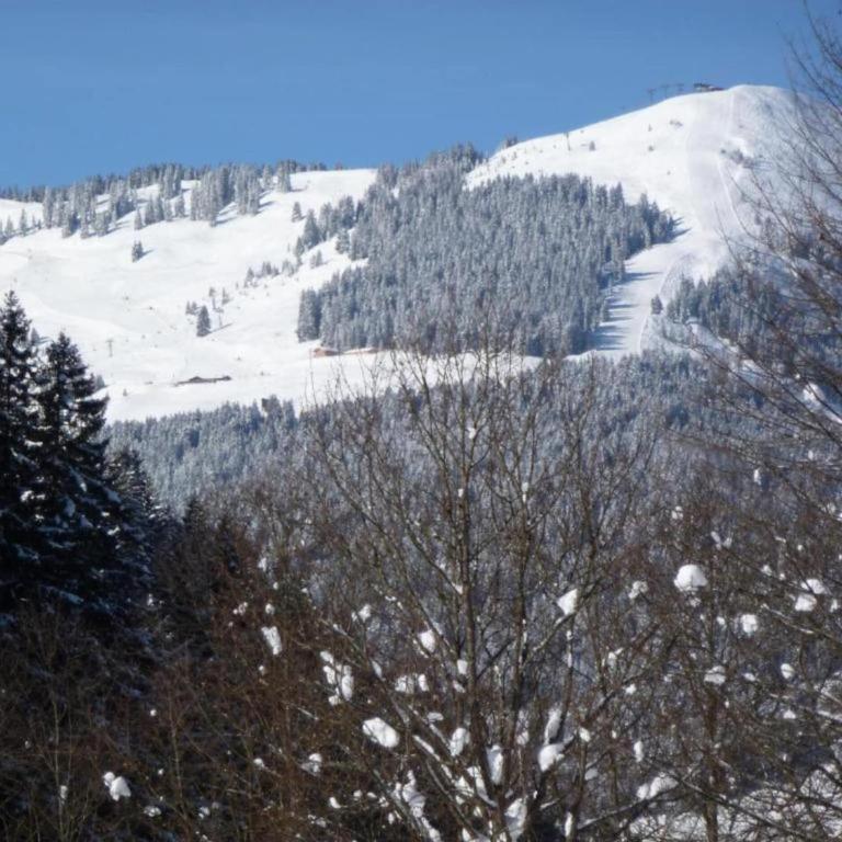 Apartment in Saalbach-Hinterglemm near Ski Area - Apartment mit 1 Schlafzimmer - 4