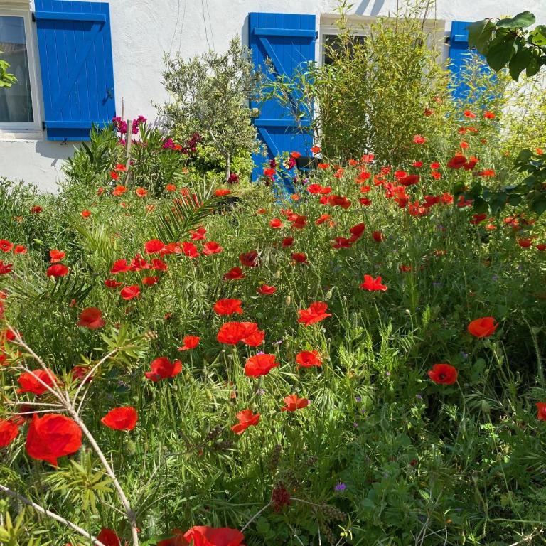 Maisonnette de Jardin - Apartamento de 1 dormitorio - 40