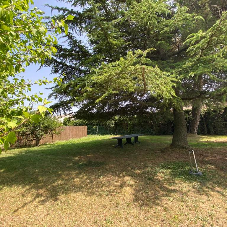 Les Mourguettes maison familiale avec piscine et garage sur 2000 m2 de terrain en campagne - Maison 7 Chambres - 9