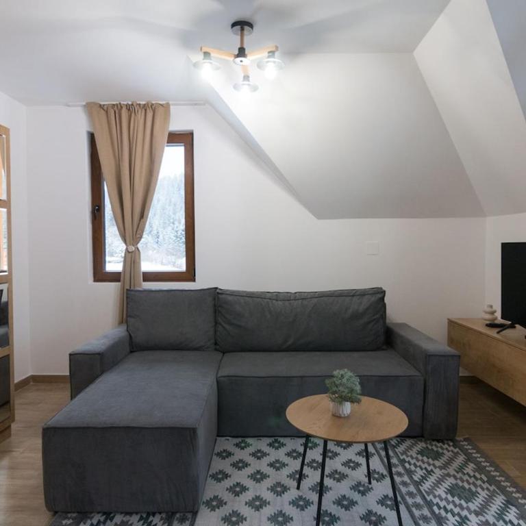 4REST Tara - Apartman sa 1 Spavaćom Sobom - 10
