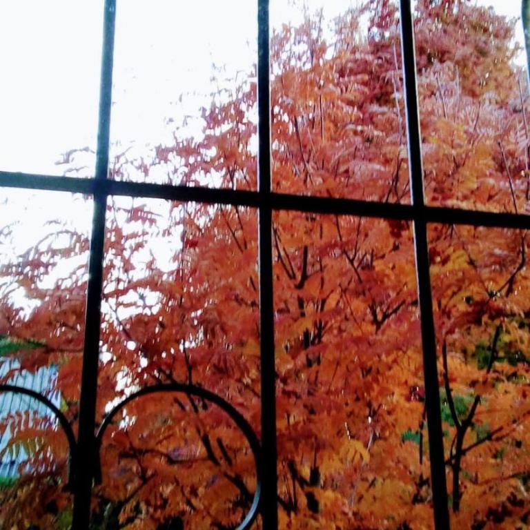 Casa de Maia - Casa de 2 dormitorios - 7