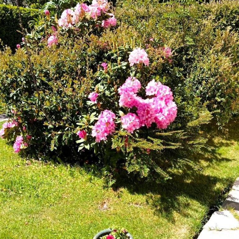 Casa de Maia - Casa de 2 dormitorios - 25