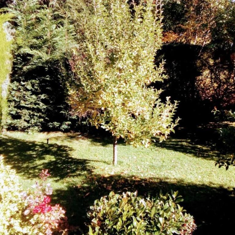 Casa de Maia - Casa de 2 dormitorios - 26