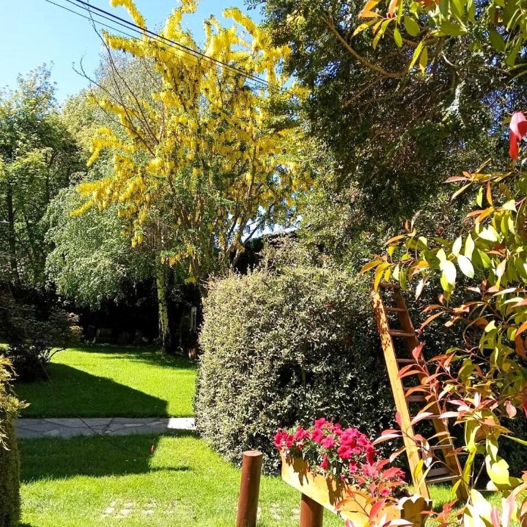 Casa de Maia - Casa de 2 dormitorios - 40