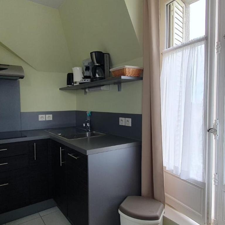 Manoir Le Castel & Villa Beaumaris - Appartement - Vue sur Jardin - 8