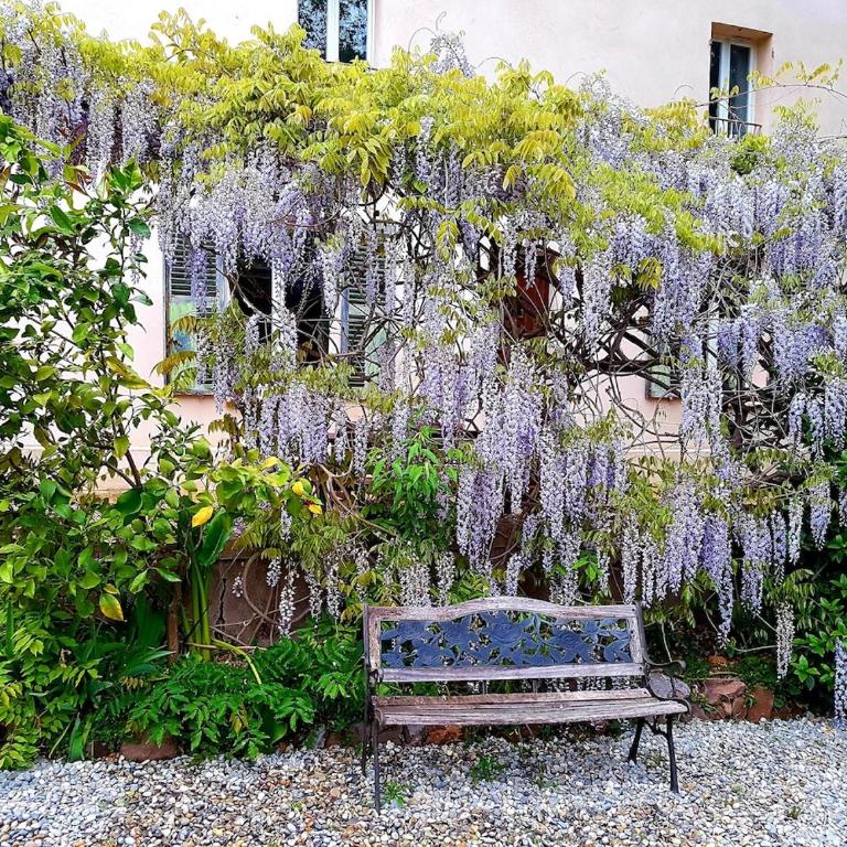 Cottage with swimming pool - Maison 4 Chambres - 16