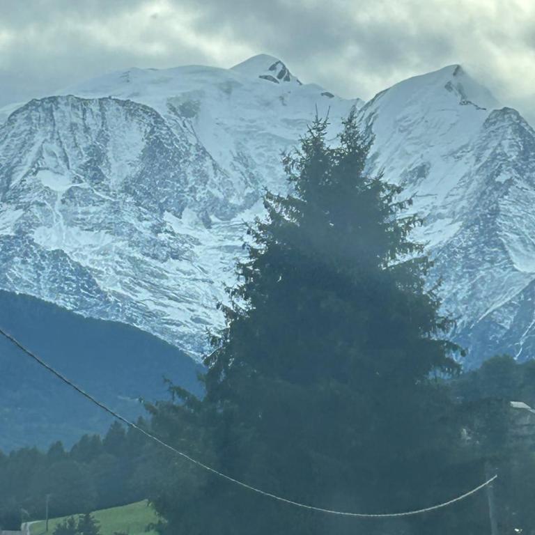 Les portes de Megève à Praz sur Arly - Appartement 1 Chambre - 14