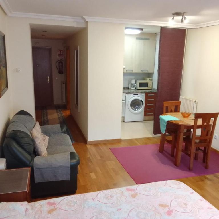 APARTAMENTOs OVIEDO PARAISO 2 - Estudio - 8
