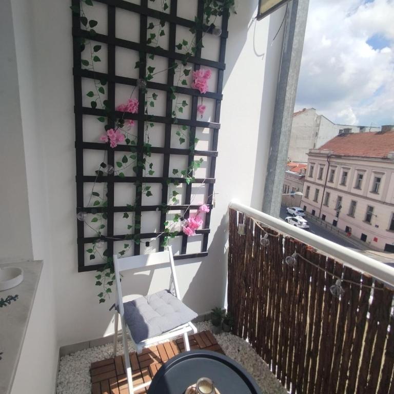 Centar Novi Sad - Apartman sa 1 Spavaćom Sobom - 18