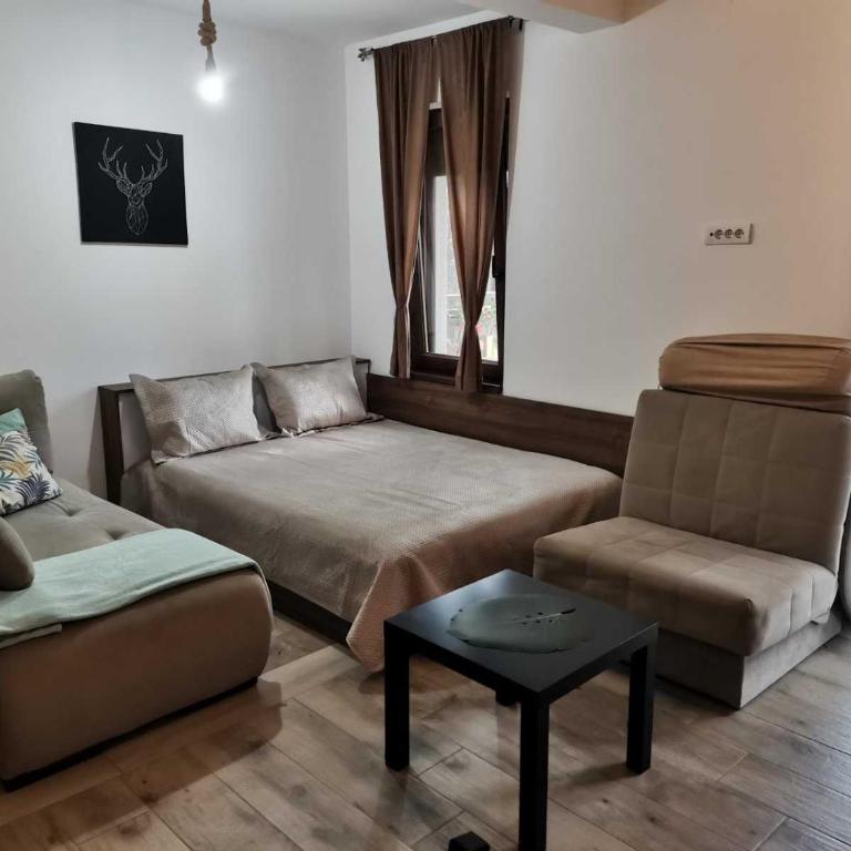 KATUN Apartmani & SPA - Porodični Studio - 22