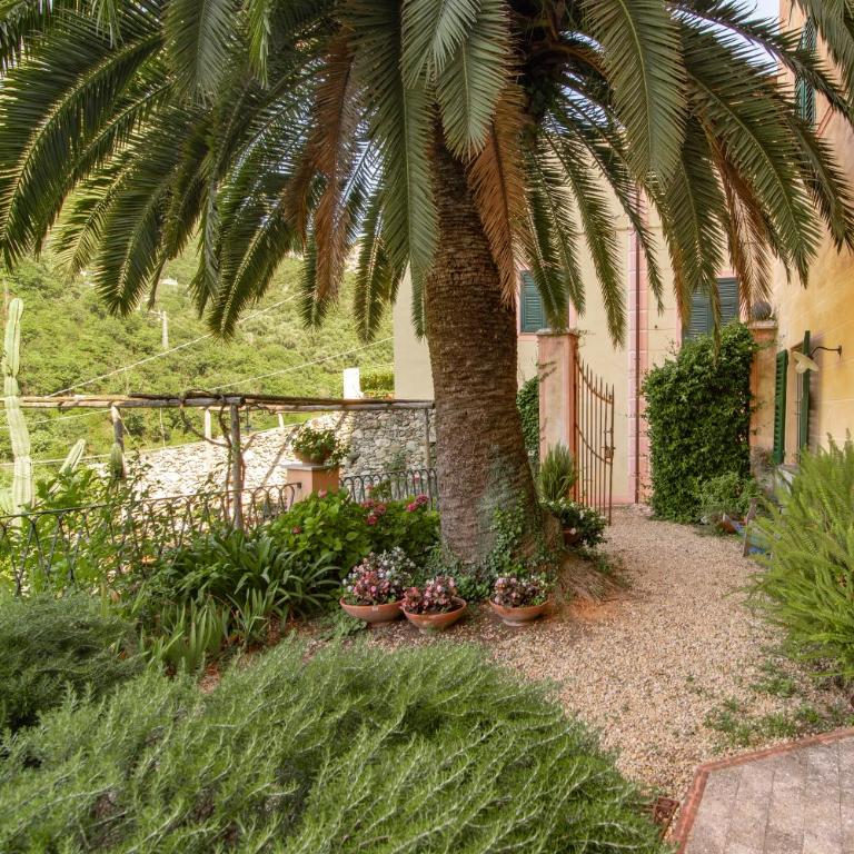 Rivierarent Casa Francesca - Appartamento - 26