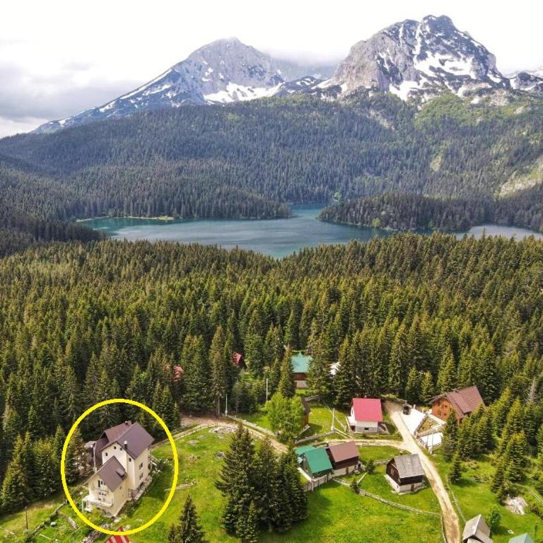 Apartment Durmitor - Apartment - Ground Floor - 1