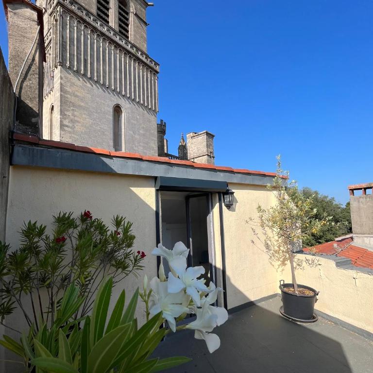 Le Logis du Chanoine, 50 m2 and terrace face to Cathedral - Appartement 1 Chambre - 4