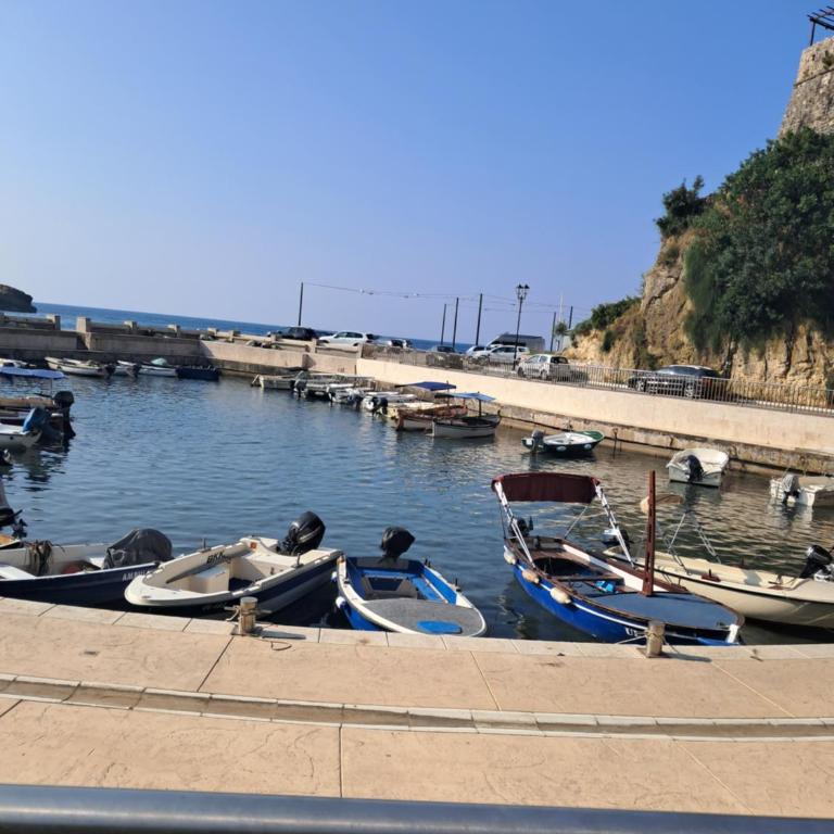 Apartments Antigona 2 Old Town Ulcinj - One-Bedroom Apartment - 5