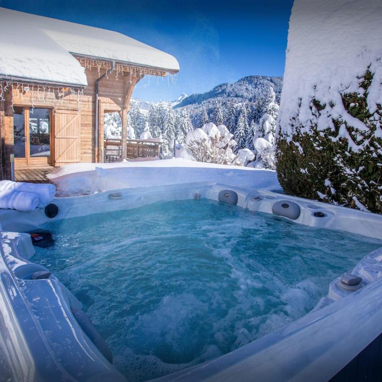 Chalet Alex - OVO Network - Chalet 4 Chambres - 4