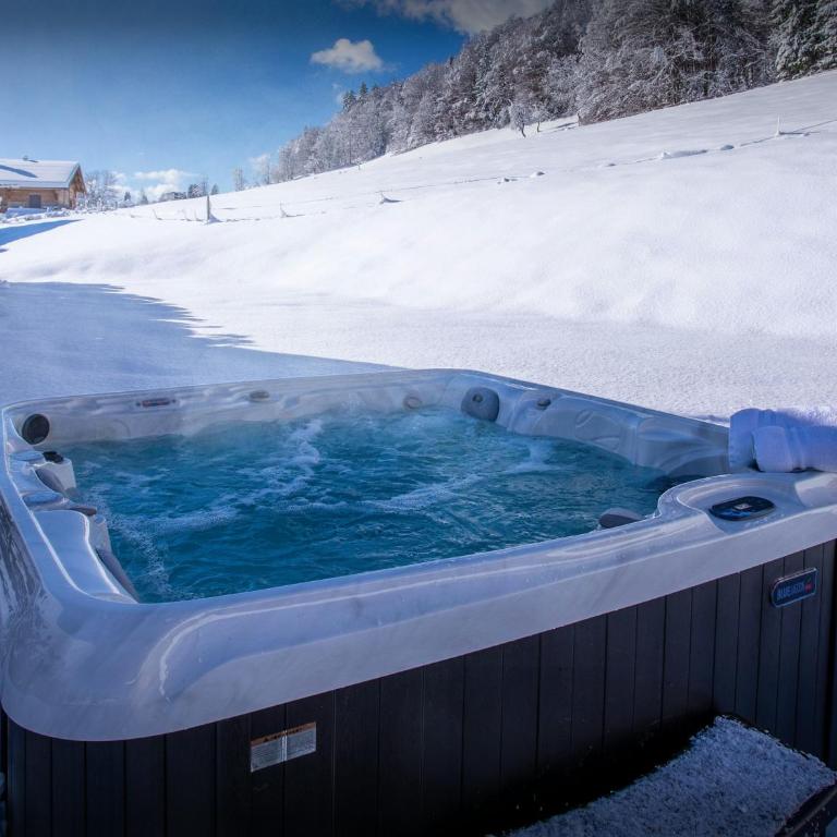 Chalet Alex - OVO Network - Chalet 4 Chambres - 22