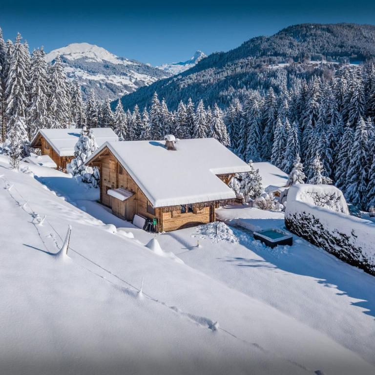 Chalet Alex - OVO Network - Chalet 4 Chambres - 20