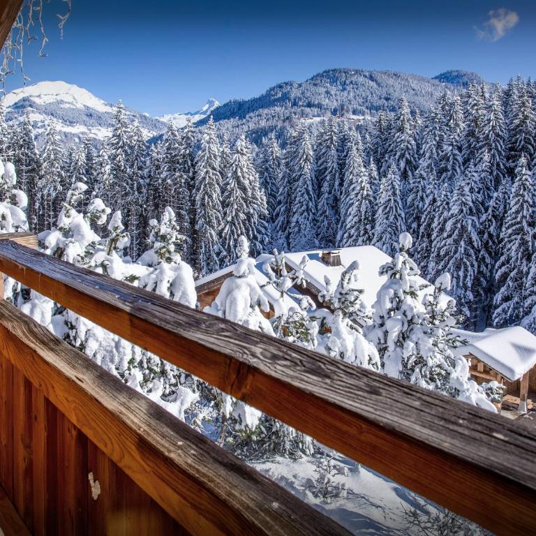 Chalet Alex - OVO Network - Chalet 4 Chambres - 23