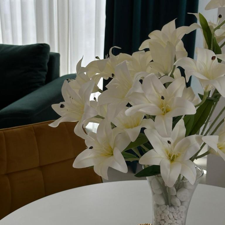Lux Apartman Banjaluka - Two-Bedroom Apartment - 4