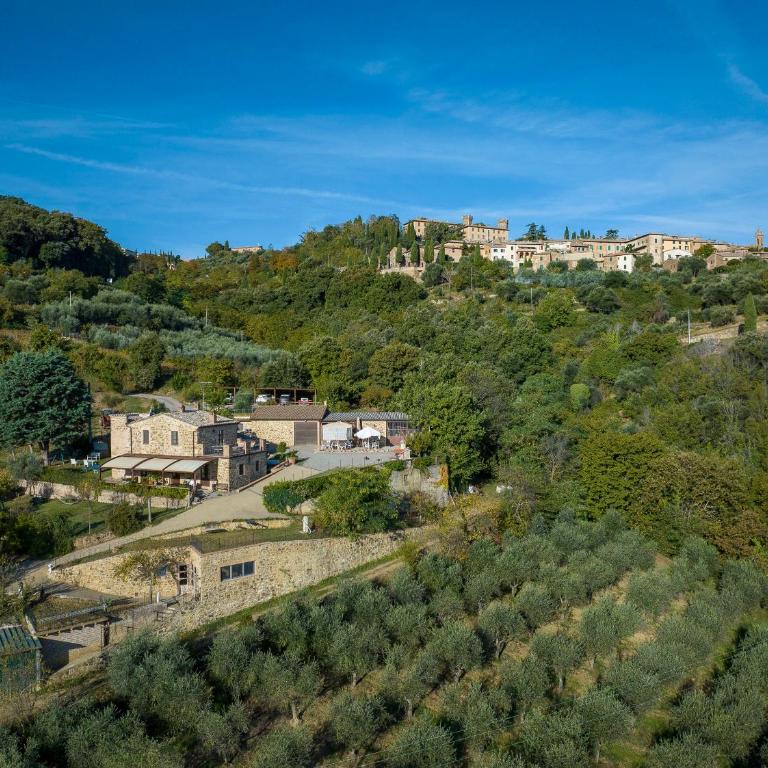 Azienda Agraria La Casella - Apartment with Terrace - 1