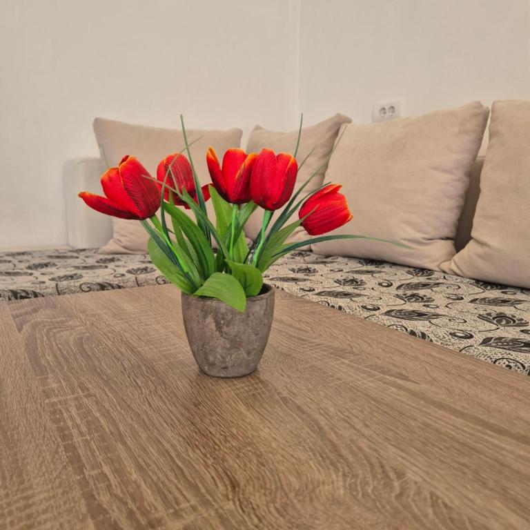 Ajum Apartments - Apartman sa 1 Spavaćom Sobom - 21