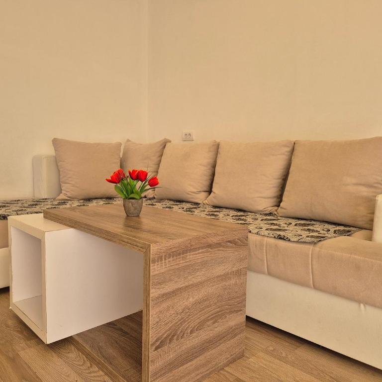 Ajum Apartments - Apartman sa 1 Spavaćom Sobom - 24