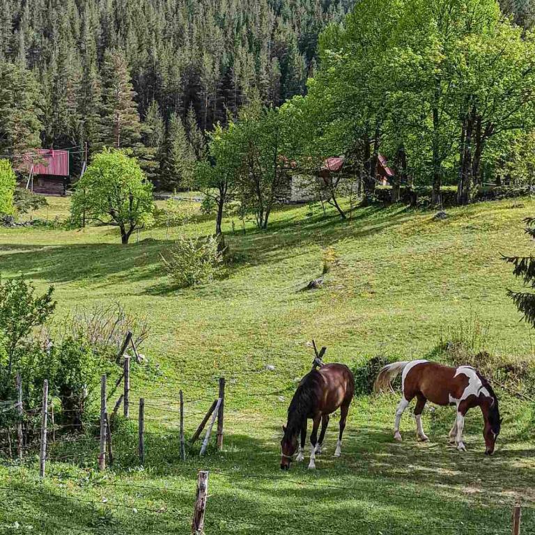 Zminica Ethno house Excalibur - Three-Bedroom House - 14