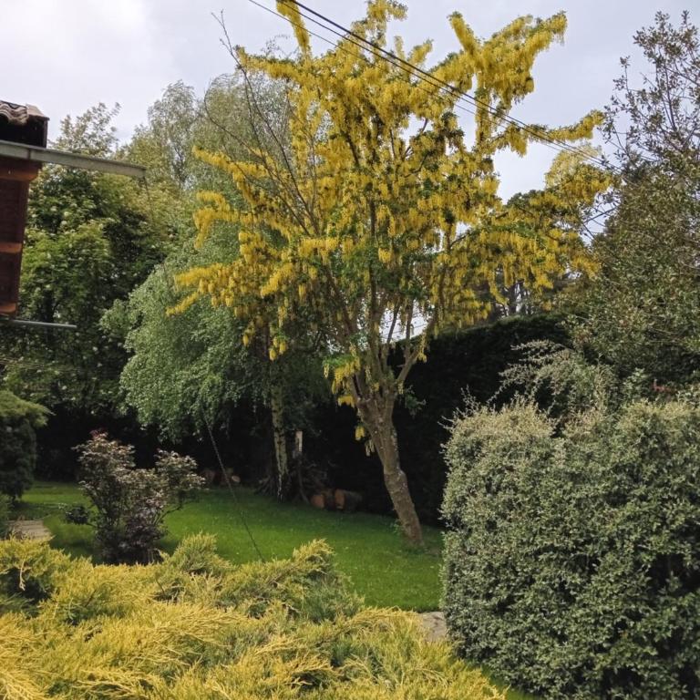 Casa de Maia - Casa de 2 dormitorios - 2