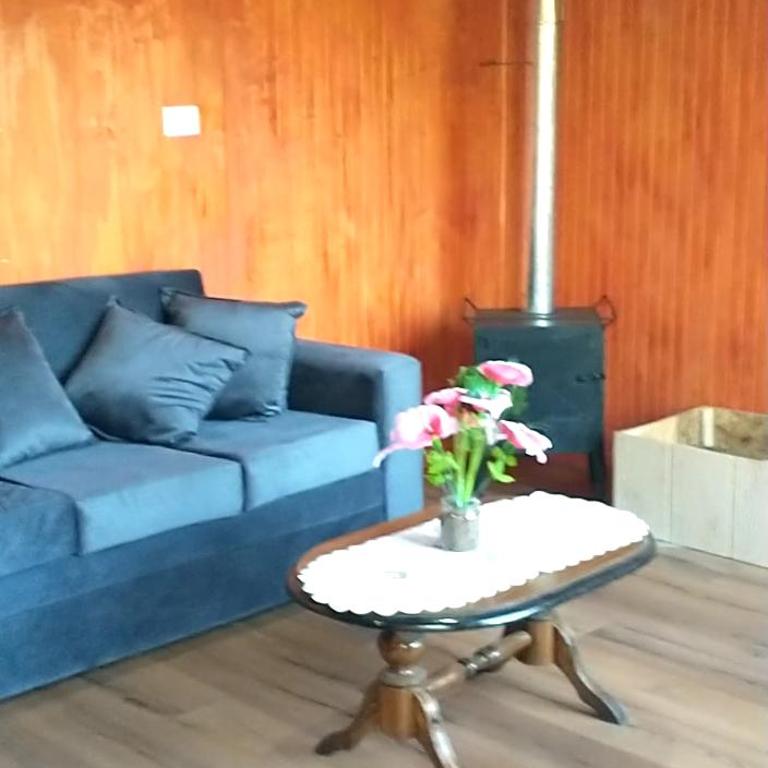 Cabaña en Freire - Casa de 2 dormitorios - 10