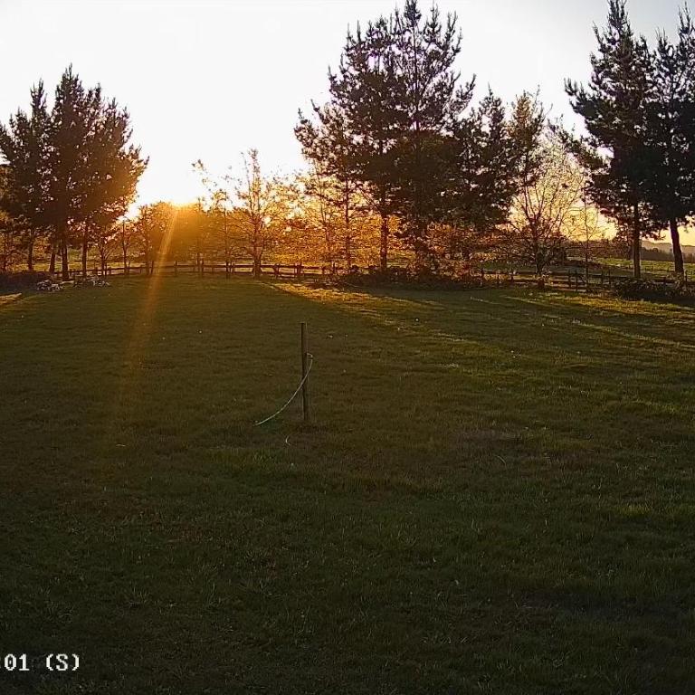 Cabaña en Freire - Casa de 2 dormitorios - 4