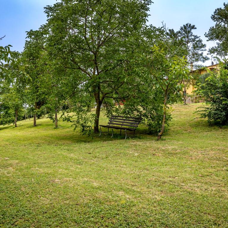 Casale il Fontanellino - country house near Florence - Entire House with Private Pool - 79