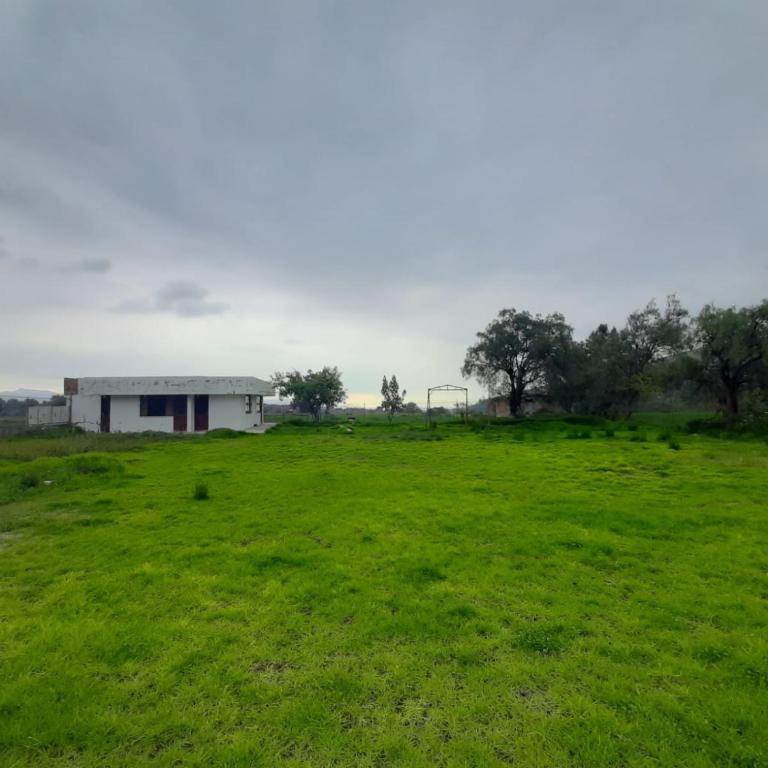 La casa de las Moras - Chalet de 1 dormitorio - 5