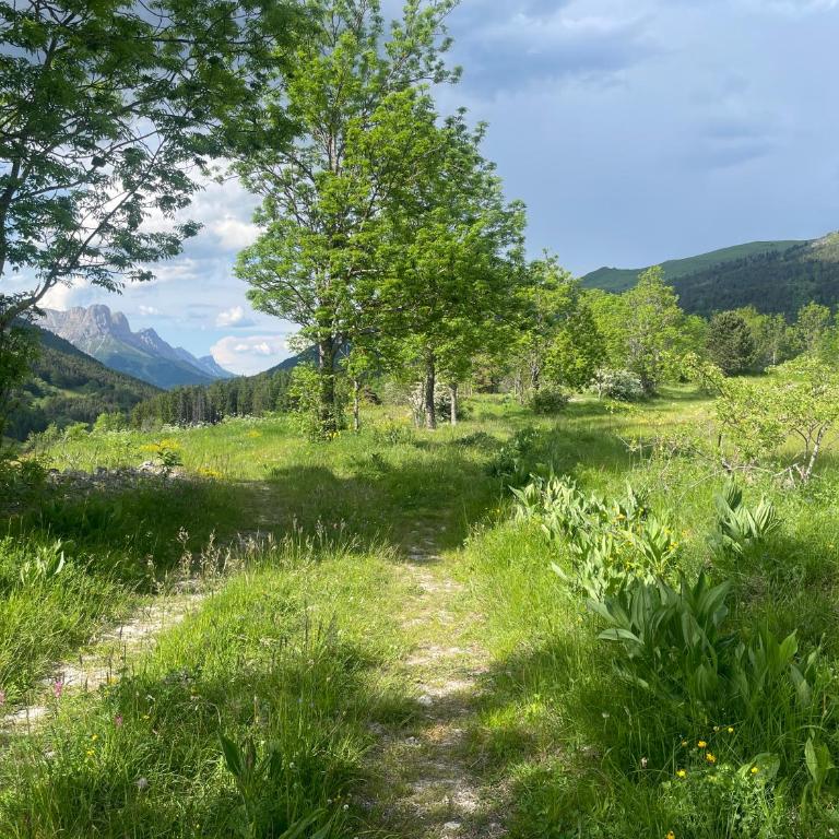 Le ZEN au pied du Grand Veymont en été en hiver - Appartement avec Balcon - 23