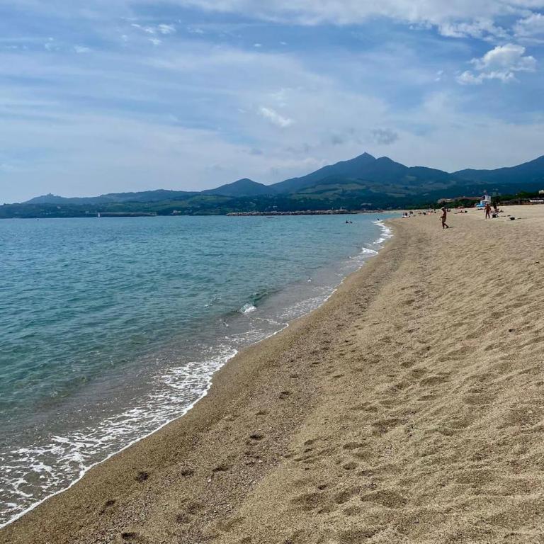 Port-Argeles T2 Cabine et parking - Appartamento con 1 Camera da Letto - 8