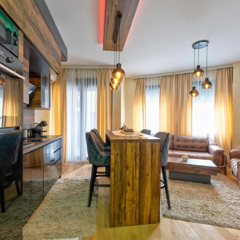 Balkan 7 - One-Bedroom Apartment - 6