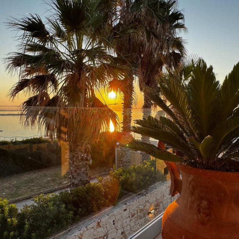 Il San Carlo - Girasole - Villa Fronte Spiaggia - 35