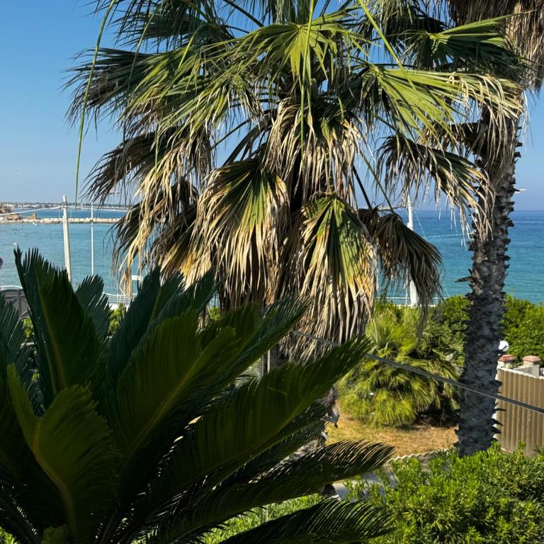 Il San Carlo - Girasole - Villa Fronte Spiaggia - 32