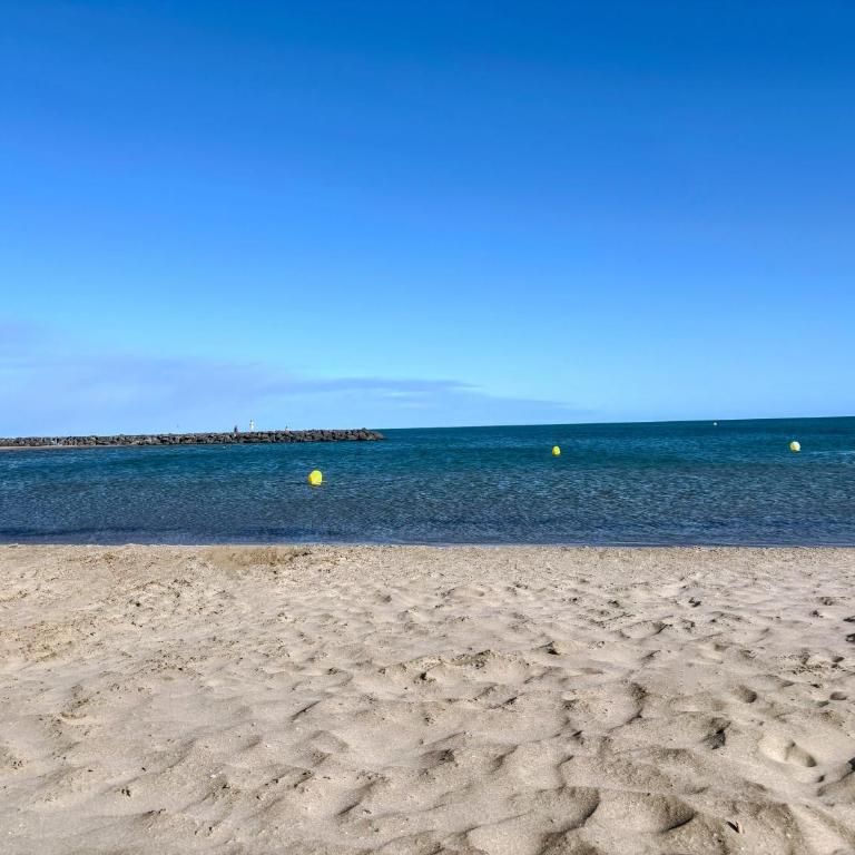 Very comfortable air-conditioned 2 rooms with direct beach access and a free parking - Appartement 1 Chambre - 15