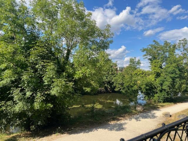 Petit Cocon des Rives Proche Stanislas-terrasse & parking gratuit - Apartment mit 1 Schlafzimmer - 49
